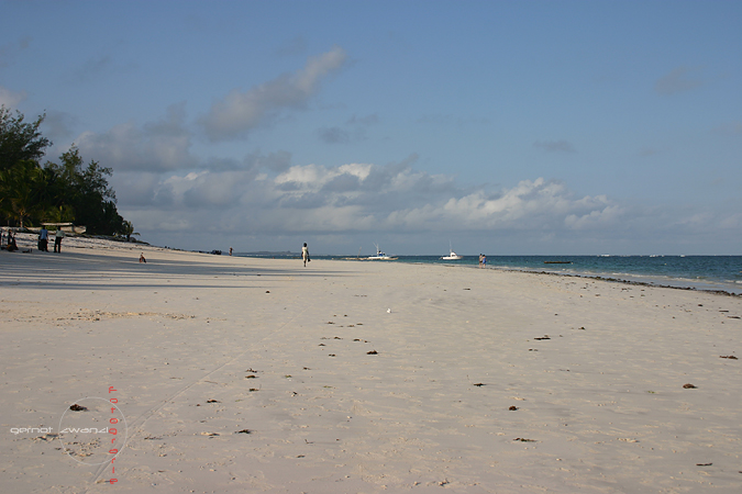 IMG_8531.jpg