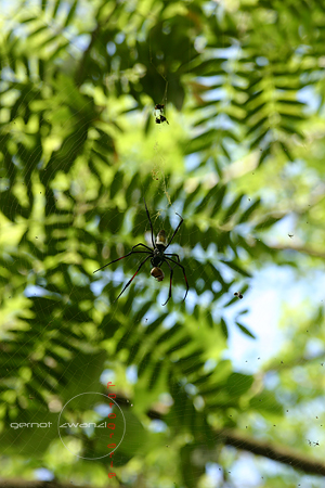 IMG_8637.jpg