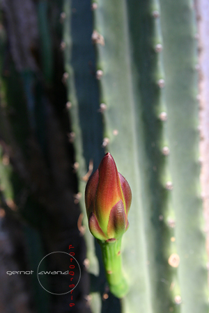 IMG_9586.jpg